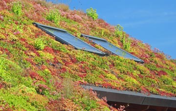 Arclid Green living roof systems